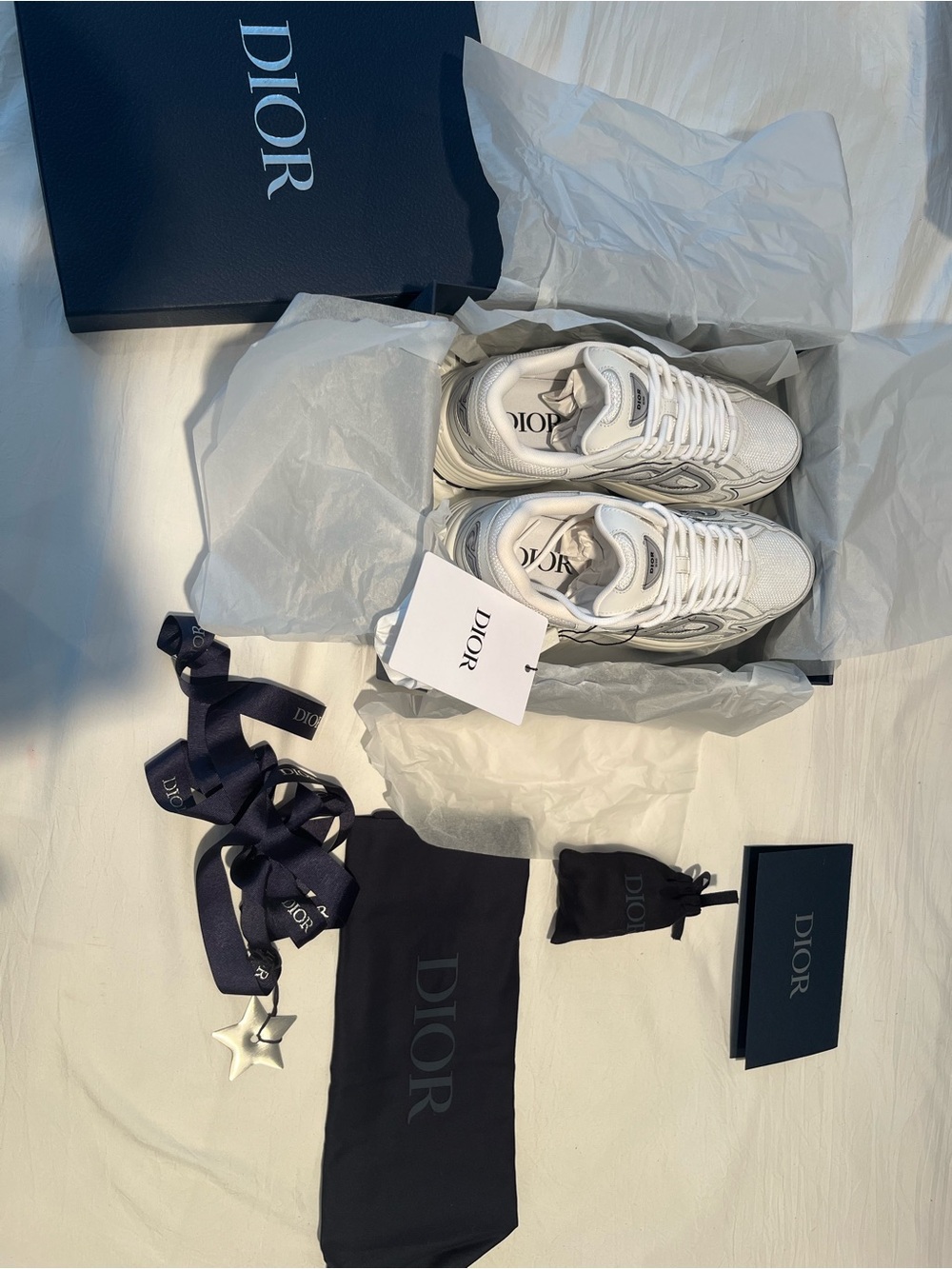 Dior White and Silver B30 Countdown Sneaker